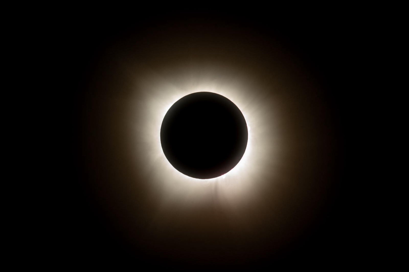 Corona solar durante un eclipse total